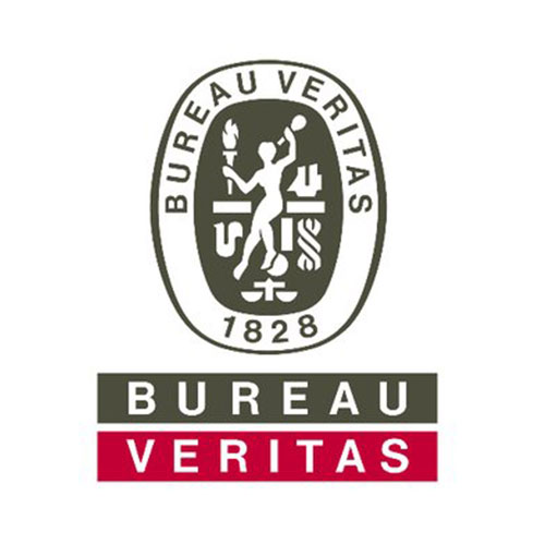 Subsea structure inspection under Bureau Veritas approval.